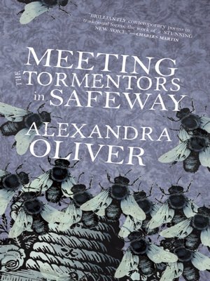 cover image of Meeting the Tormentors in Safeway